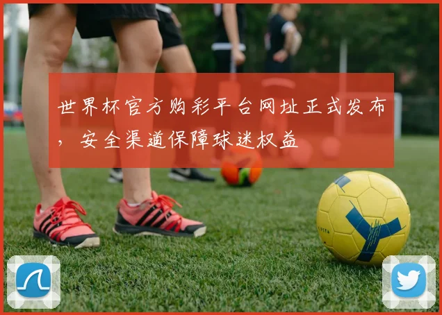 世界杯官方购彩平台网址正式发布，安全渠道保障球迷权益