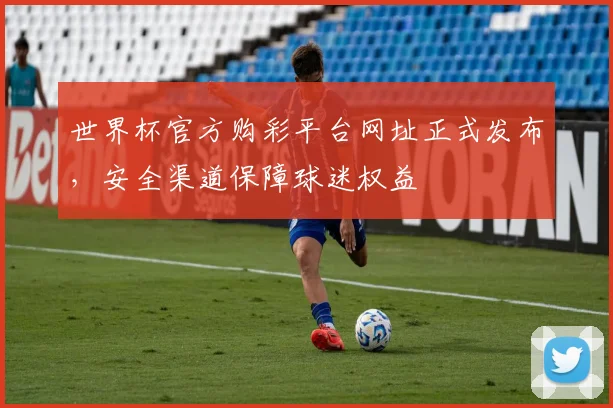 世界杯官方购彩平台网址正式发布，安全渠道保障球迷权益